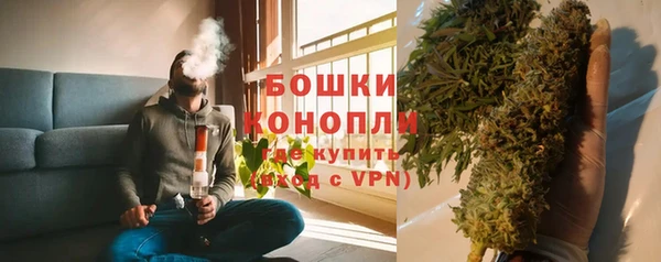 ECSTASY Липки