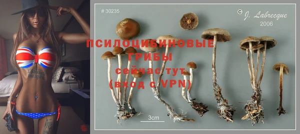 амф Лихославль