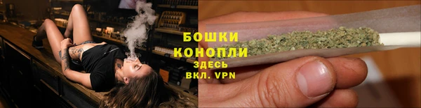 ECSTASY Липки
