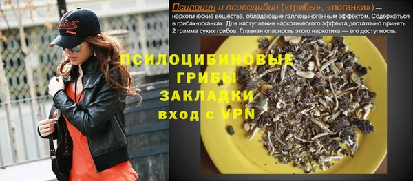 ECSTASY Липки