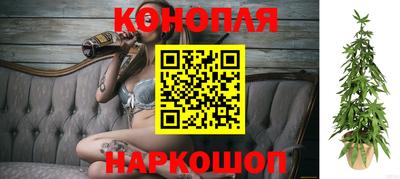 гидра Беслан