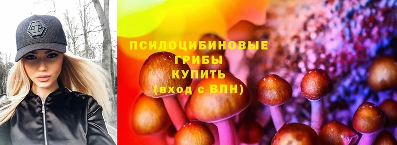 Галлюциногенные грибы Psilocybe  Моздок 