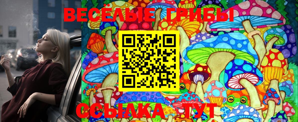 Псилоцибиновые грибы Cubensis  Псилоцибиновые грибы прущие грибы  Моздок 