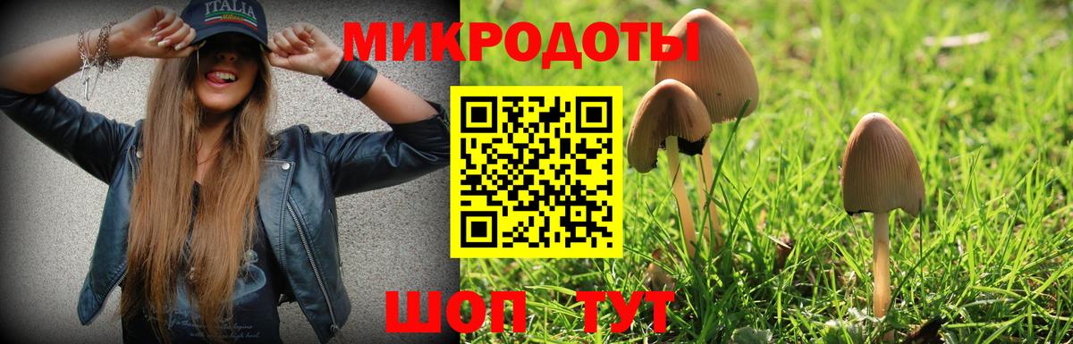 Моздок  Галлюциногенные грибы Psilocybe  Псилоцибиновые грибы мицелий  Вход с VPN 