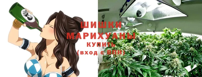 Бошки Шишки индика  где купить наркоту  Моздок 