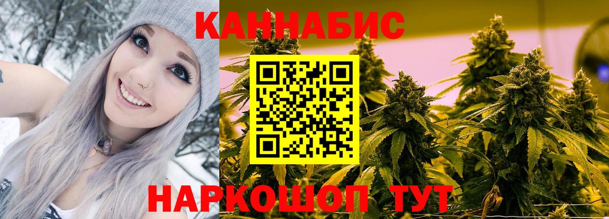 Каннабис OG Kush Моздок